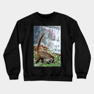 Guatemala - Site archéologique de Tikal, Animal Coatis Crewneck Sweatshirt